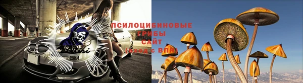 тгк Баксан