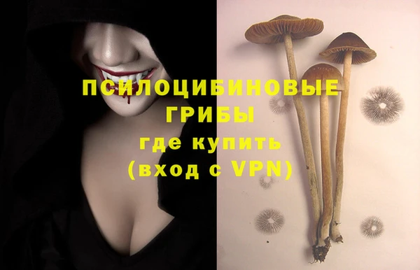 герыч Аркадак