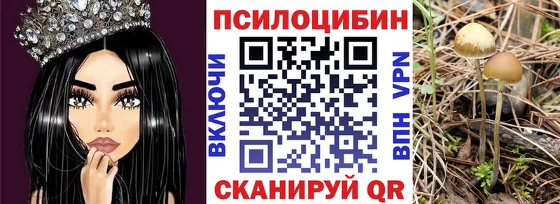 Галлюциногенные грибы Psilocybine cubensis гидра Нязепетровск